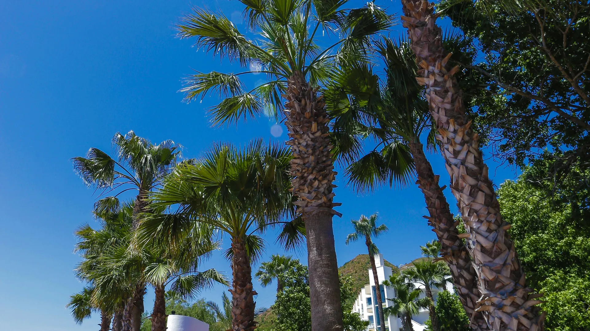 Marmaris Resort & Spa Hotel